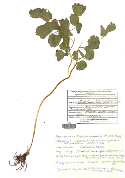 VOR 0002259