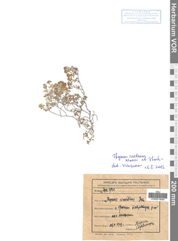 VOR 0019040