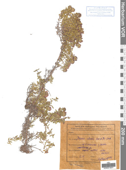 VOR 0019041