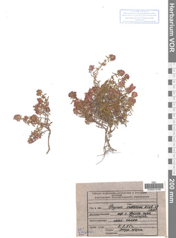 VOR 0019169