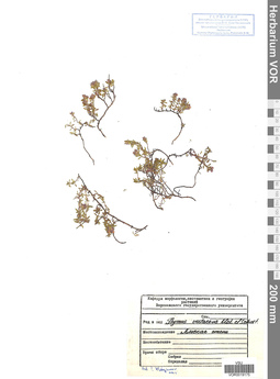 VOR 0019175