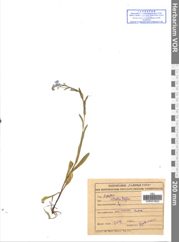 VOR 0016622
