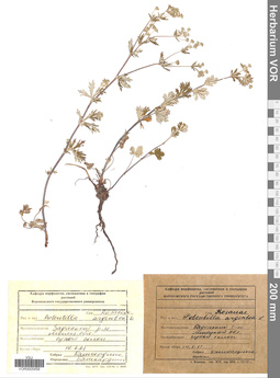 VOR 0005458