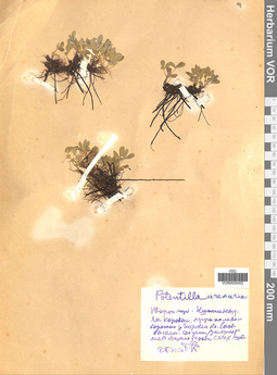 VOR 0005402
