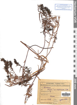 VOR 0019367
