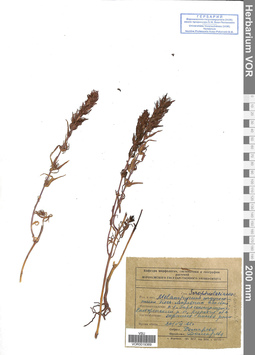 VOR 0019369