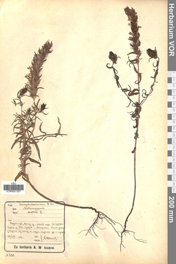 VOR 0021257