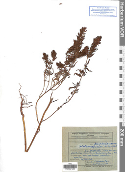 VOR 0021265