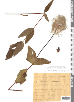 VOR 0001644