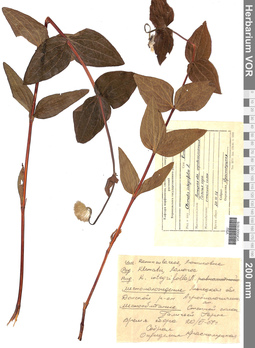 VOR 0001676
