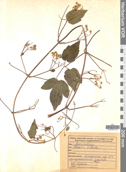 VOR 0001679