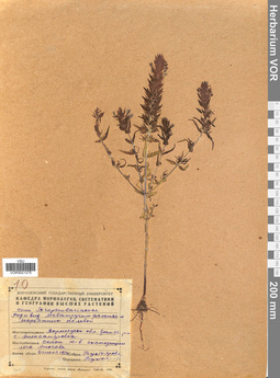 VOR 0021275