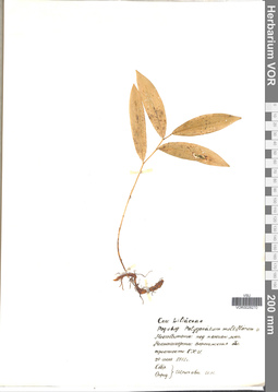 VOR 0026270