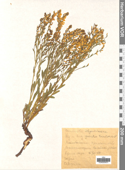 VOR 0009431