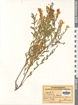 VOR 0009436