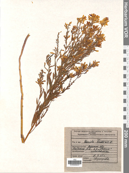 VOR 0009437