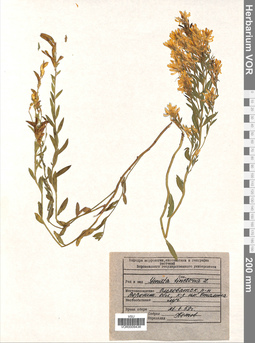 VOR 0009438