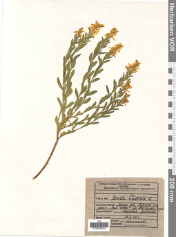 VOR 0009444