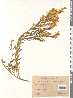 VOR 0009448