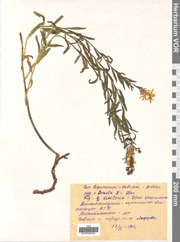 VOR 0009452