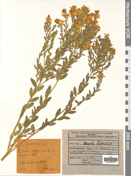 VOR 0009454