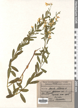 VOR 0009455