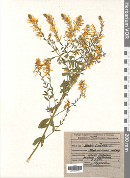 VOR 0009457