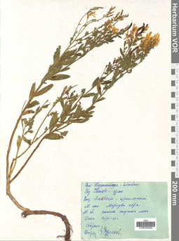 VOR 0009458