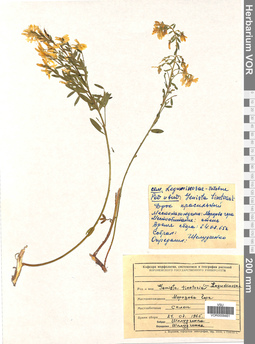 VOR 0009461