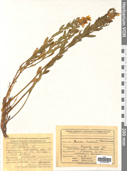 VOR 0009463