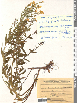 VOR 0009464