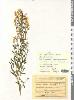 VOR 0009465