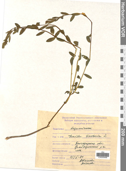 VOR 0009466