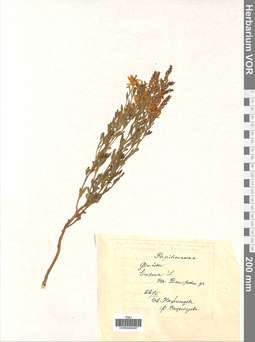 VOR 0009467