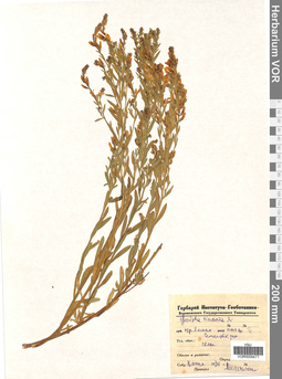 VOR 0009471
