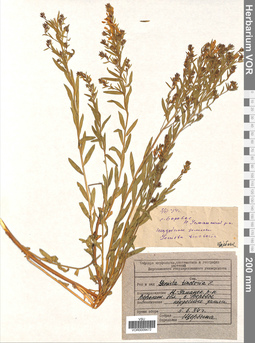 VOR 0009472