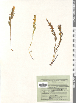 VOR 0009475