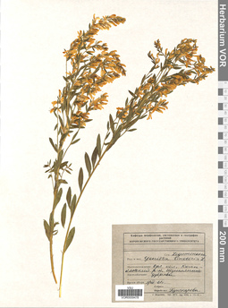 VOR 0009478