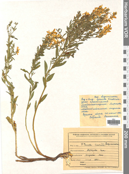 VOR 0009485