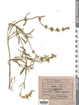 VOR 0018325