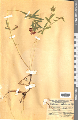 VOR 0009488