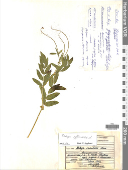 VOR 0010079