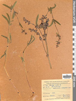 VOR 0018328