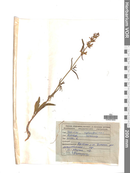 VOR 0018402