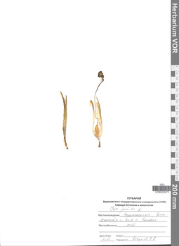 VOR 0025572