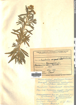 VOR 0011882