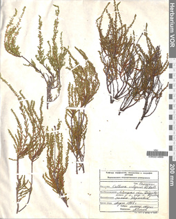 VOR 00014869