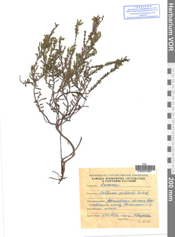 VOR 00014897