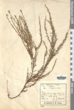 VOR 00014898