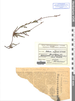 VOR 00014899